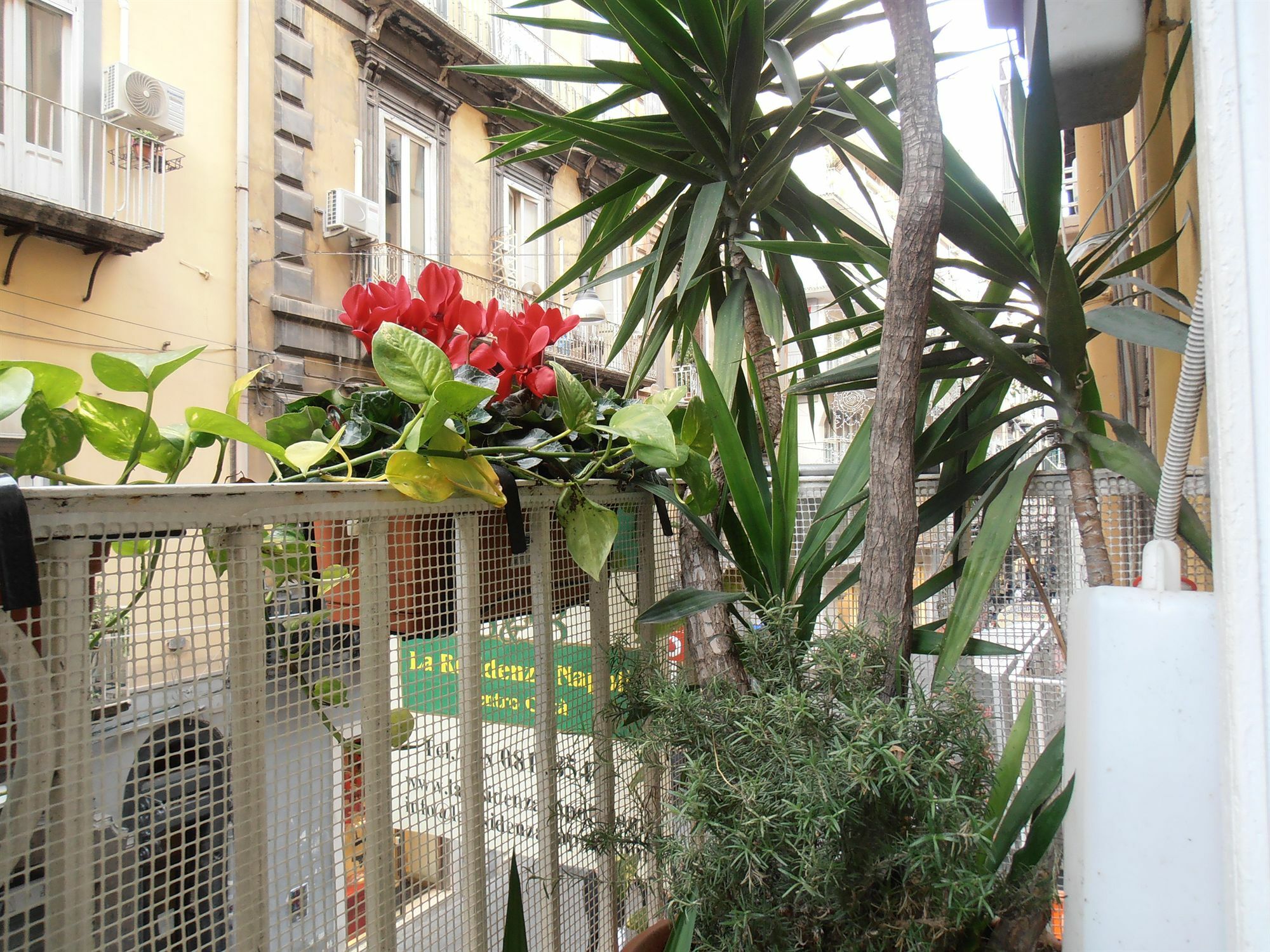 Bed&Breakfast Plebiscito Home Napoli Esterno foto